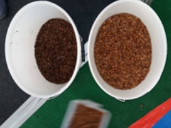 Результаты фотосепарации зерна кофе по цвету(1)